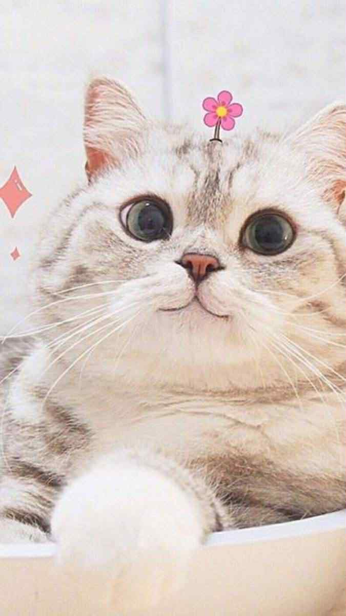Ở cổ đại cứu vớt não yêu đương